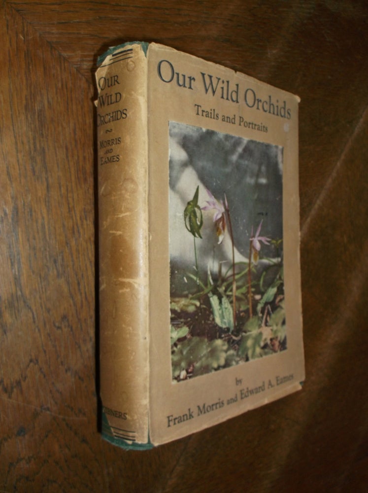 Item #28553 Our wild Orchids: Trails and Portraits. Frank Morris, Edward A. Eames.