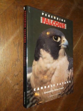 Item #28625 Peregrine Falcons. Candace Savage